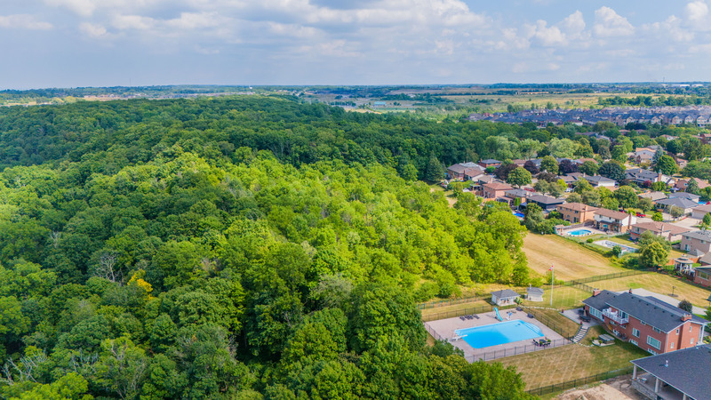 10 Azalea Ct, Hamilton